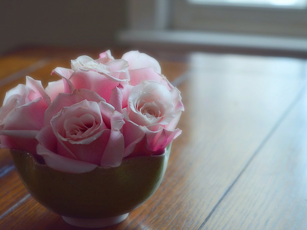 Обои цветок, роза, лепестки, бутон, розовая, flower, rose, petals, bud, pink разрешение 2560x1600 Загрузить