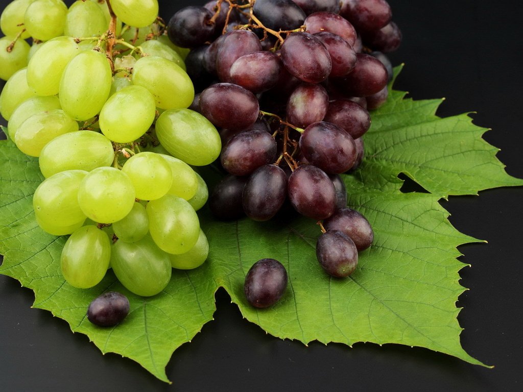 Обои виноград, фрукты, ягоды, grapes, fruit, berries разрешение 1920x1200 Загрузить