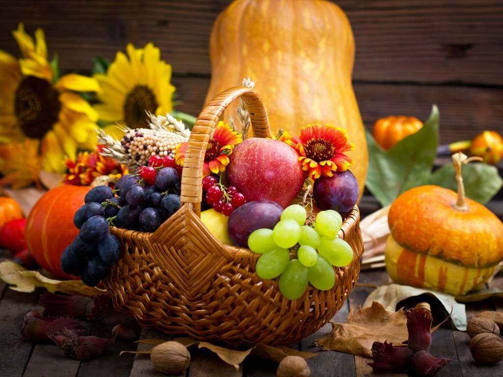 Обои цветы, ягоды, красотуля, листья, яблоко, орехи, урожай, виноград, овощи, фрукты, яблок, тыква, яблоки, натюрморт, корзина,  цветы, подсолнухи, осен, flowers, berries, leaves, apple, nuts, harvest, grapes, vegetables, fruit, pumpkin, apples, still life, basket, sunflowers, autumn разрешение 2880x1920 Загрузить