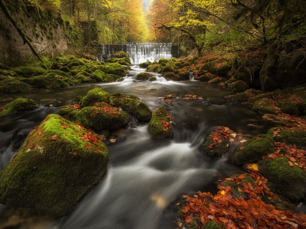 Обои река, каскад, камни, areuse gorge, val-de-travers, лес, ущелье аройзе, листья, водопад, осень, швейцария, мох, river, cascade, stones, forest, the areuse gorge, leaves, waterfall, autumn, switzerland, moss разрешение 2048x1365 Загрузить