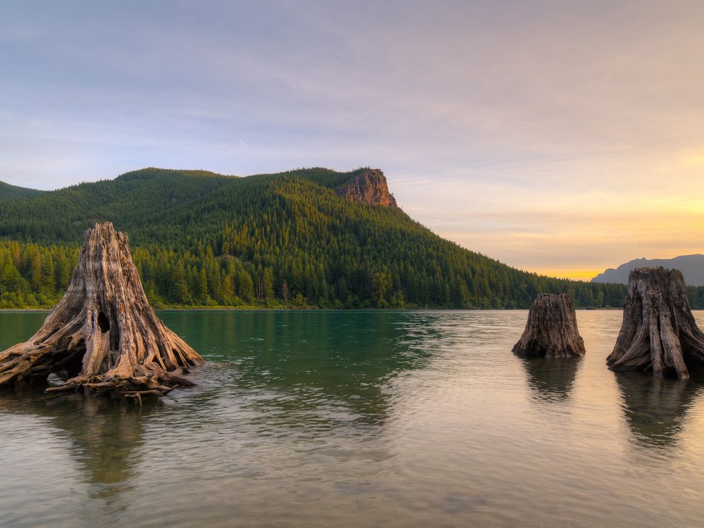 Обои деревья, озеро, природа, утро, trees, lake, nature, morning разрешение 2048x1152 Загрузить