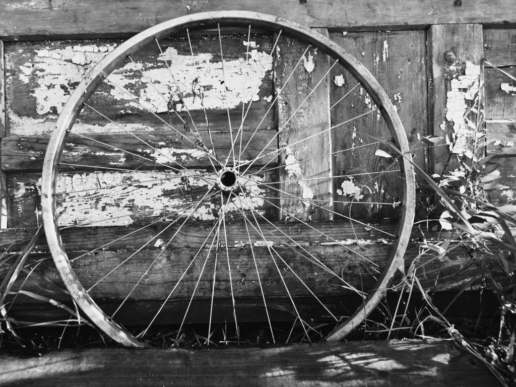 Обои колесо, белая, метал, велосипед, дерева, блака, bicycle wheel, wheel, white, metal, bike, wood, black разрешение 2000x1333 Загрузить