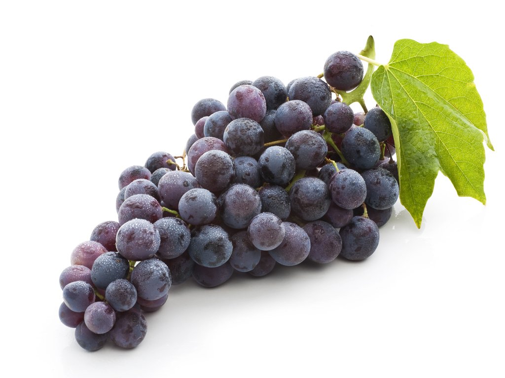 Обои листья, виноград, фрукты, плоды,  листья, гроздь винограда, leaves, grapes, fruit, bunch of grapes разрешение 4368x2912 Загрузить