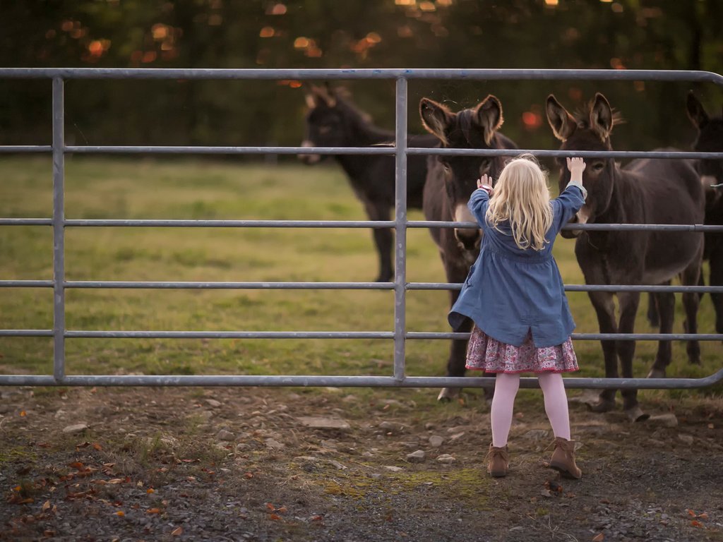 Обои девочка, the donkey whisperer, sandra jolly, ослики, girl, donkeys разрешение 1920x1280 Загрузить