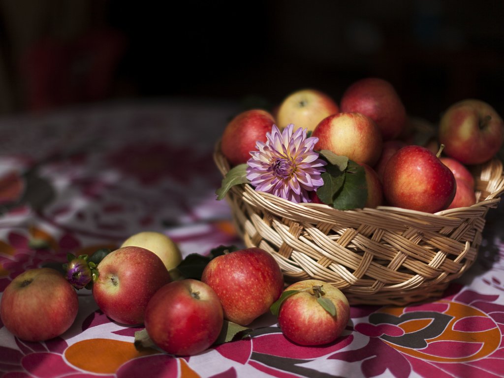 Обои еда, фрукты, яблоки, food, fruit, apples разрешение 5616x3744 Загрузить