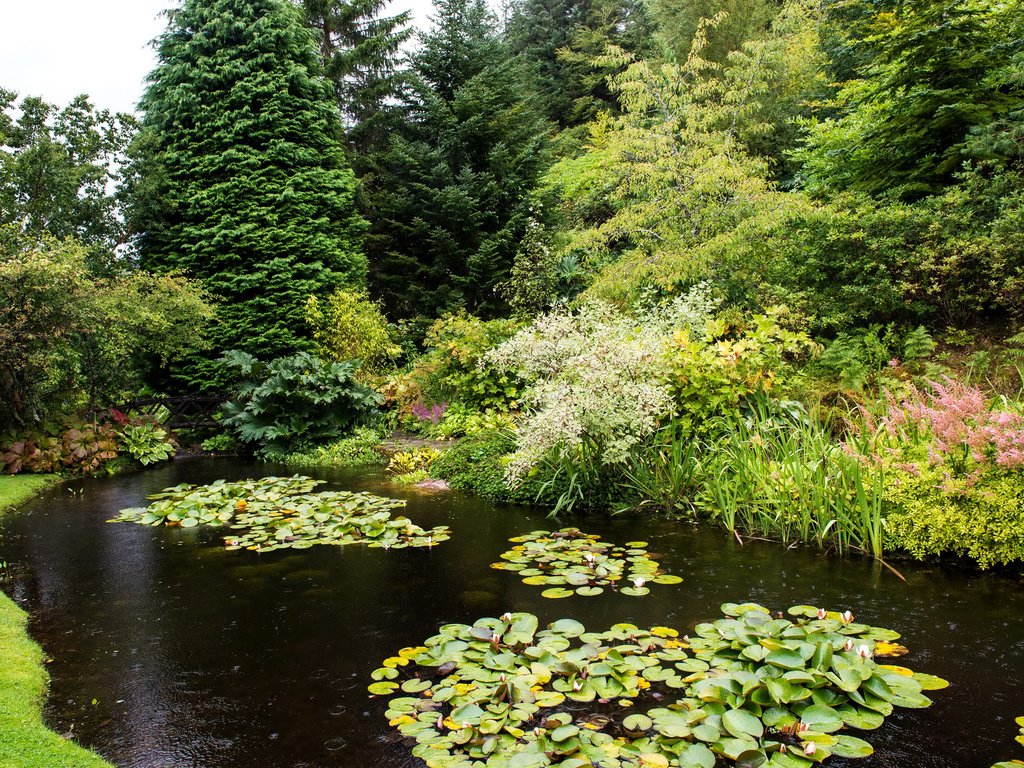 Обои деревья, парк, кусты, пруд, шотландия, attadale gardens, strathcarron, trees, park, the bushes, pond, scotland разрешение 3005x2000 Загрузить