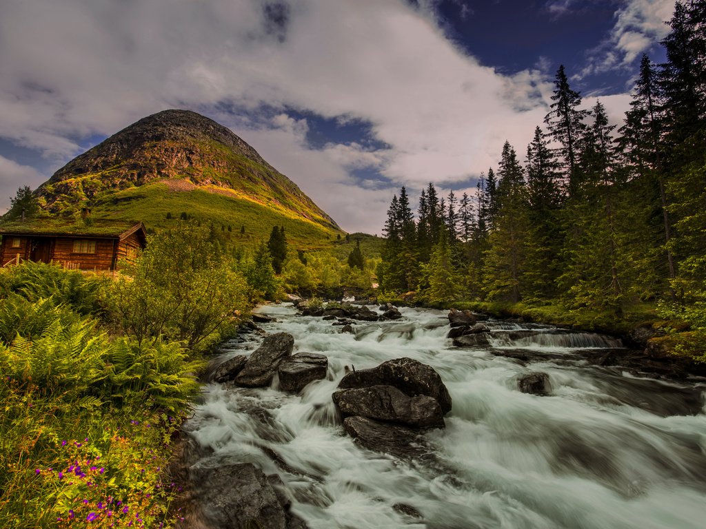 Обои деревья, река, холм, норвегия, хижина, норвегии, trees, river, hill, norway, hut разрешение 2048x1367 Загрузить