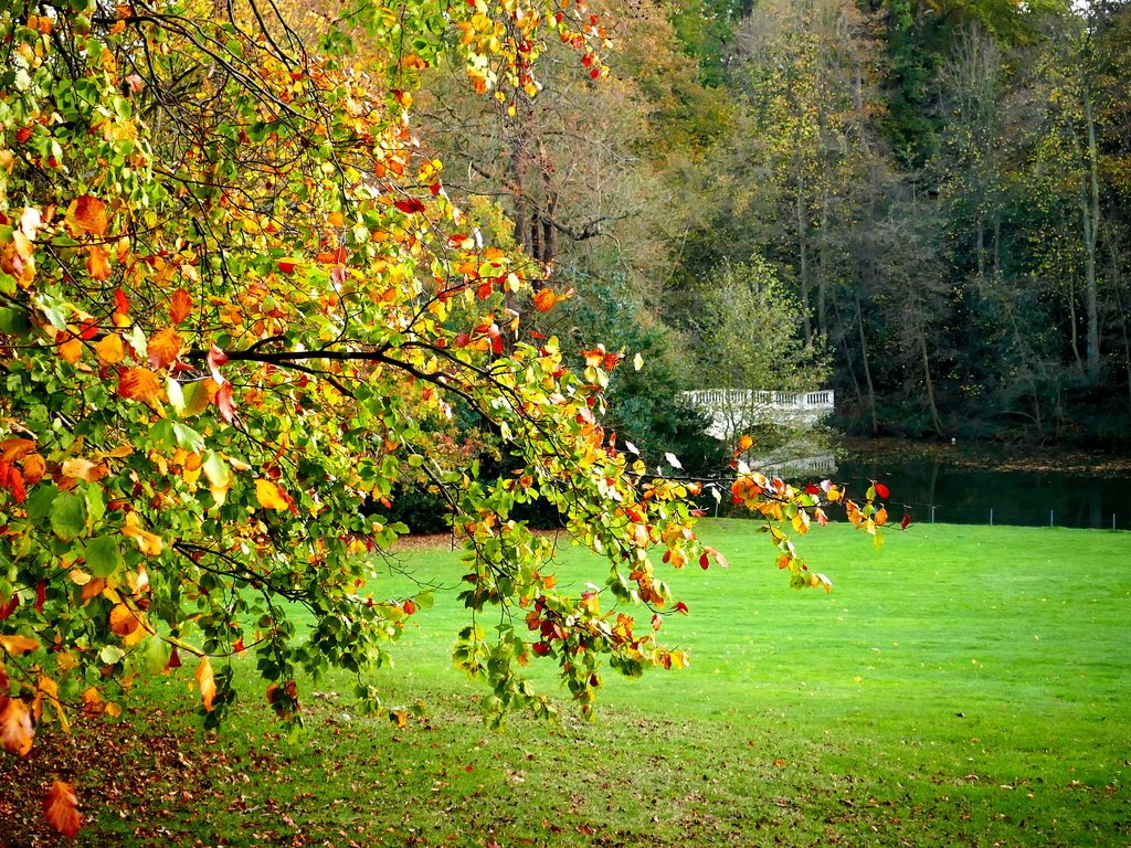 Обои деревья, пейзаж, поле, мост, лондон, осень, hampstead heath, trees, landscape, field, bridge, london, autumn разрешение 4327x2310 Загрузить