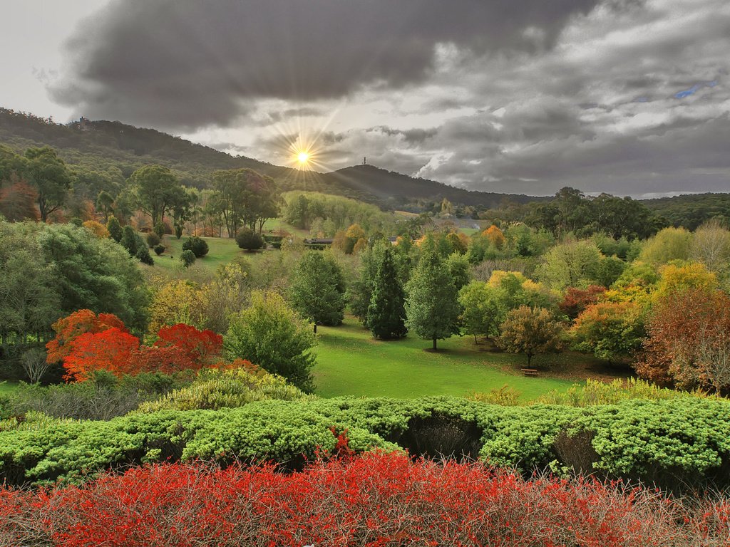 Обои пейзаж, осень, lofty botanic gardens, аделаида-хиллс, южная австралия, landscape, autumn, adelaide hills, south australia разрешение 2256x1496 Загрузить