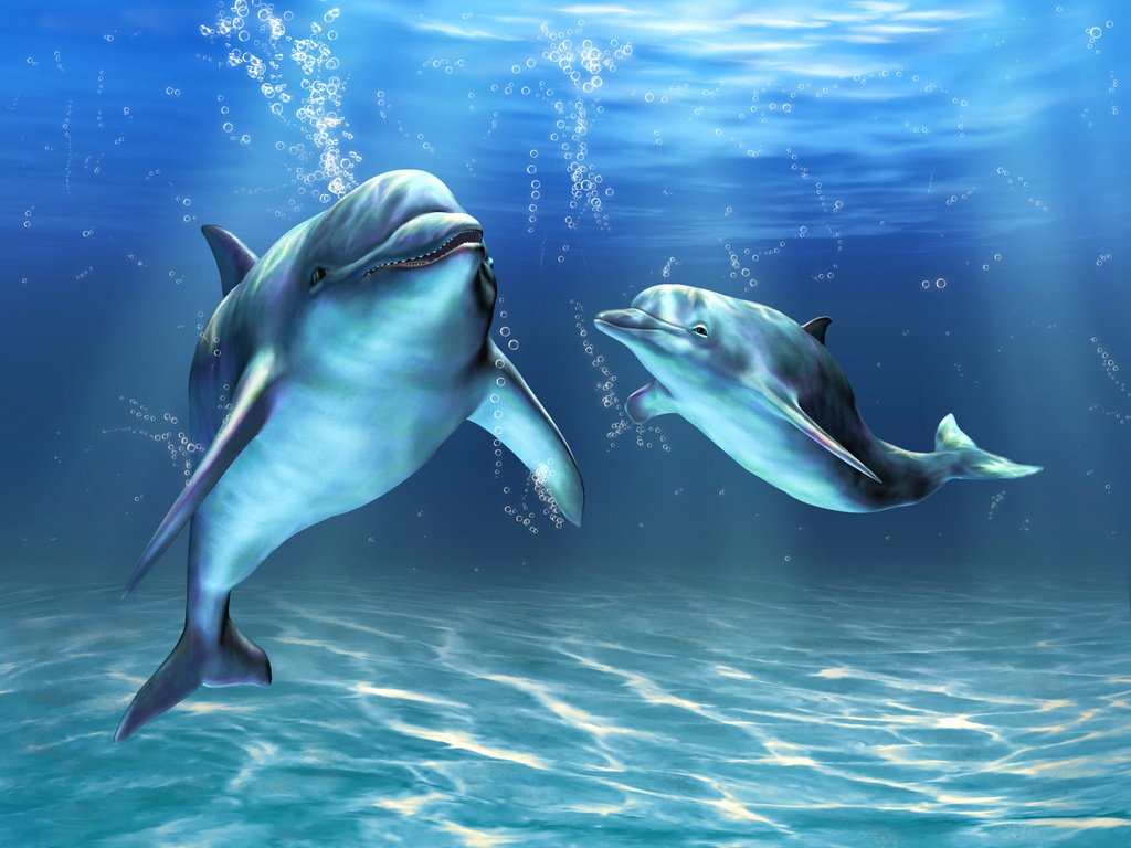 Обои арт, море, пузырьки, дельфины, подводный мир, art, sea, bubbles, dolphins, underwater world разрешение 3000x2250 Загрузить