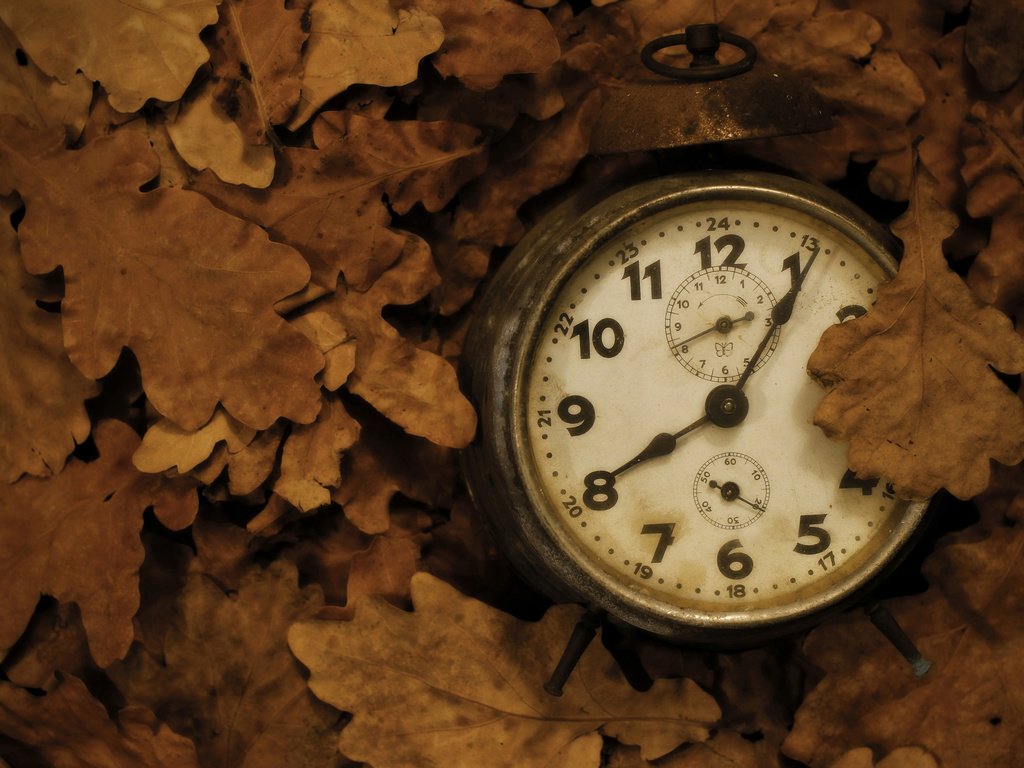 Обои листья, фон, часы, leaves, background, watch разрешение 2048x1365 Загрузить