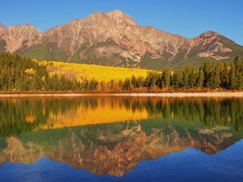 Обои озеро, рatricia lake, canadia, горы, берег, лес, отражение, осень, канада, национальный парк банф, lake, mountains, shore, forest, reflection, autumn, canada, banff national park разрешение 1920x1280 Загрузить