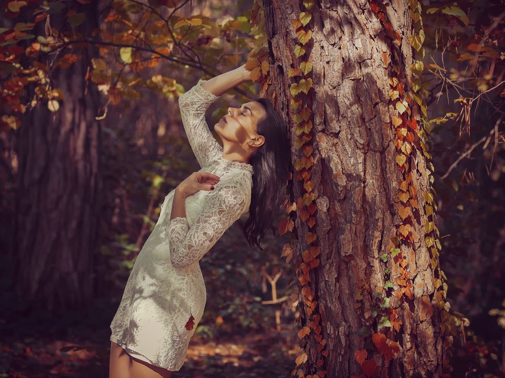 Обои дерево, лес, девушка, платье, tree, forest, girl, dress разрешение 2048x1365 Загрузить