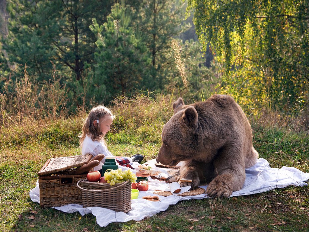 Обои природа, медведь, девочка, пикник, маша и медведь, nature, bear, girl, picnic, masha and the bear разрешение 4252x2835 Загрузить