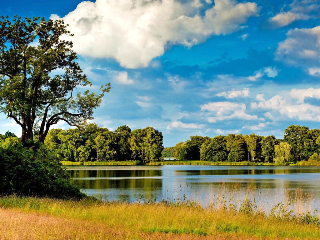 Обои небо, трава, деревья, вода, река, природа, пейзаж, the sky, grass, trees, water, river, nature, landscape разрешение 2560x1600 Загрузить