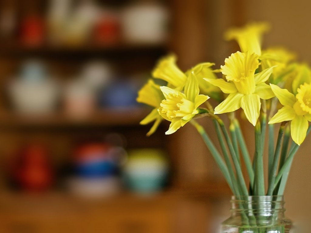 Обои букет, нарциссы, боке, bouquet, daffodils, bokeh разрешение 2048x1321 Загрузить