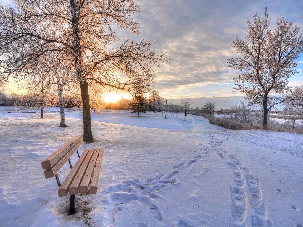 Обои деревья, снег, зима, скамейка, trees, snow, winter, bench разрешение 2048x1360 Загрузить