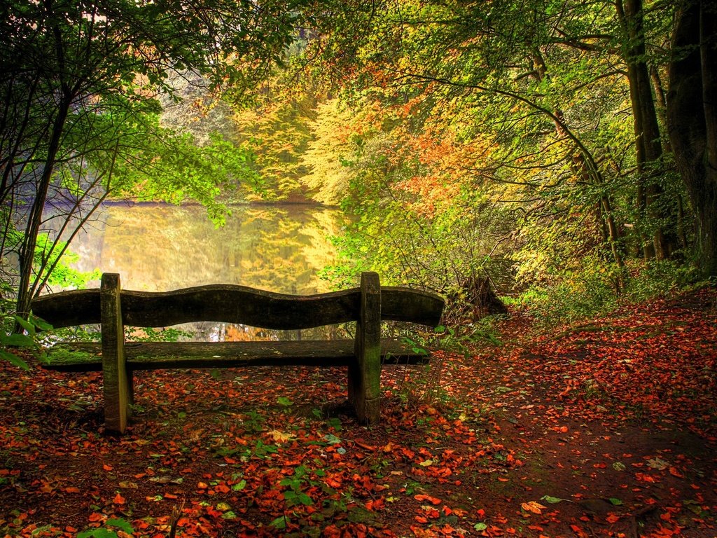 Обои деревья, озеро, природа, листья, пейзаж, осень, скамейка, trees, lake, nature, leaves, landscape, autumn, bench разрешение 2000x1333 Загрузить