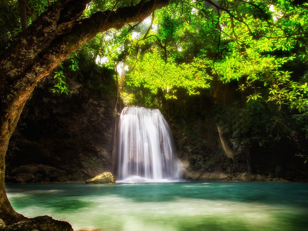 Обои вода, дерево, водопад, поток, зеленые листья, water, tree, waterfall, stream, green leaves разрешение 2048x1366 Загрузить