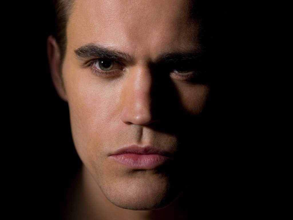 Обои портрет, взгляд, актёр, лицо, мужчина, пол уэсли, portrait, look, actor, face, male, paul wesley разрешение 2251x1771 Загрузить