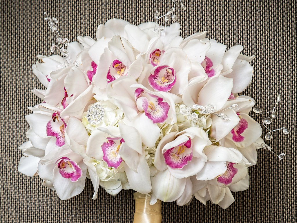 Обои букет, белые, орхидеи, орхидею, букеты, bouquet, white, orchids, orchid, bouquets разрешение 4000x3000 Загрузить