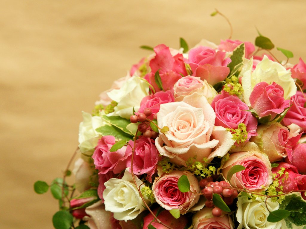 Обои капли, розы, букет, роз, букеты, drops, roses, bouquet, bouquets разрешение 3000x2000 Загрузить