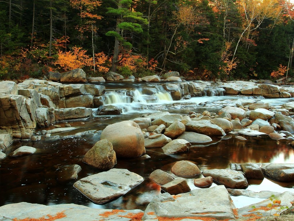 Обои деревья, вода, река, камни, осень, поток, деревь, осен, каменное, trees, water, river, stones, autumn, stream, stone разрешение 2880x1920 Загрузить