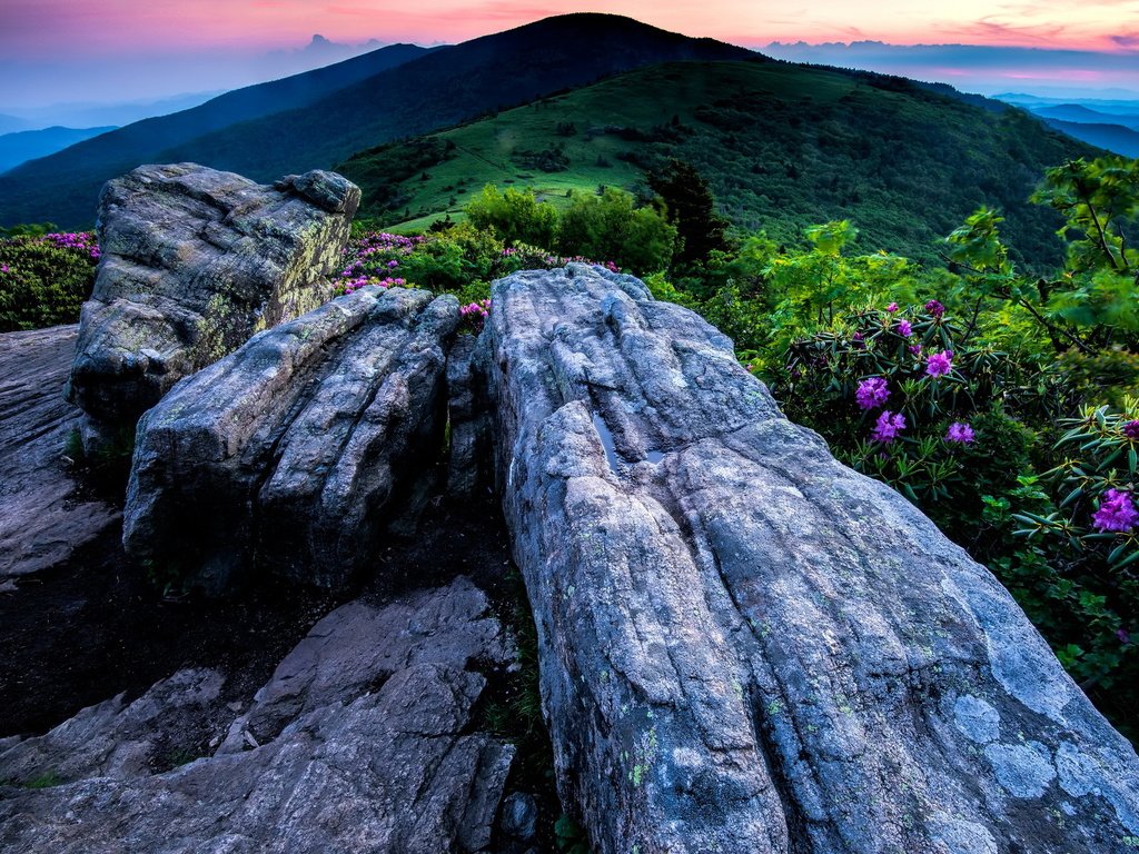 Обои небо, цветы, горы, камни, долина, северная каролина, roan mountain, tennessee, высокогорье, the sky, flowers, mountains, stones, valley, north carolina, highlands разрешение 1939x1288 Загрузить