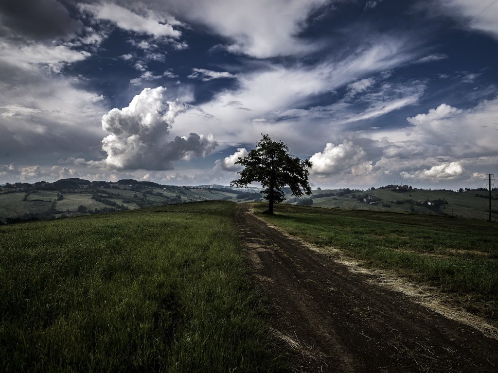 Обои дорога, дерево, поле, road, tree, field разрешение 2048x1367 Загрузить