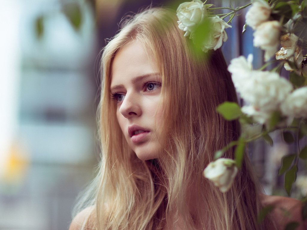 Обои девушка, блондинка, портрет, розы, сад, волосы, girl, blonde, portrait, roses, garden, hair разрешение 2048x1152 Загрузить