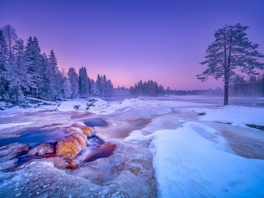 Обои деревья, река, снег, лес, зима, финляндия, kiiminkijoki river, река кииминкийоки, trees, river, snow, forest, winter, finland, river kiiminkijoki разрешение 2048x1367 Загрузить