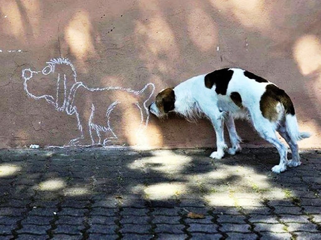 Обои рисунок, ситуация, стена, собака, figure, the situation, wall, dog разрешение 2500x1798 Загрузить
