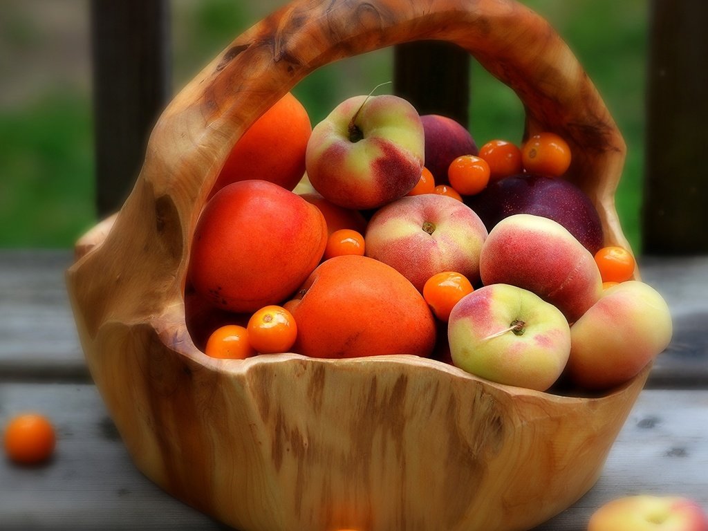 Обои корзина, персики, абрикосы, basket, peaches, apricots разрешение 1920x1200 Загрузить