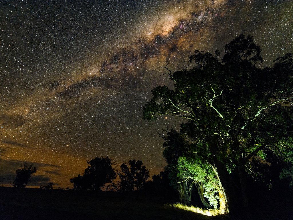 Обои ночь, деревья, природа, звезды, млечный путь, night, trees, nature, stars, the milky way разрешение 2048x1367 Загрузить