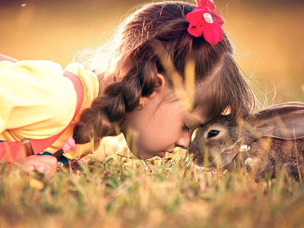 Обои трава, девочка, ребенок, кролик, животное, дружба, заяц, grass, girl, child, rabbit, animal, friendship, hare разрешение 2000x1125 Загрузить