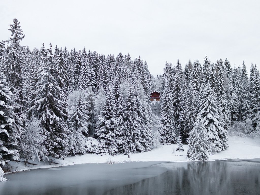 Обои деревья, озеро, снег, лес, зима, швейцария, домик, trees, lake, snow, forest, winter, switzerland, house разрешение 2560x1600 Загрузить