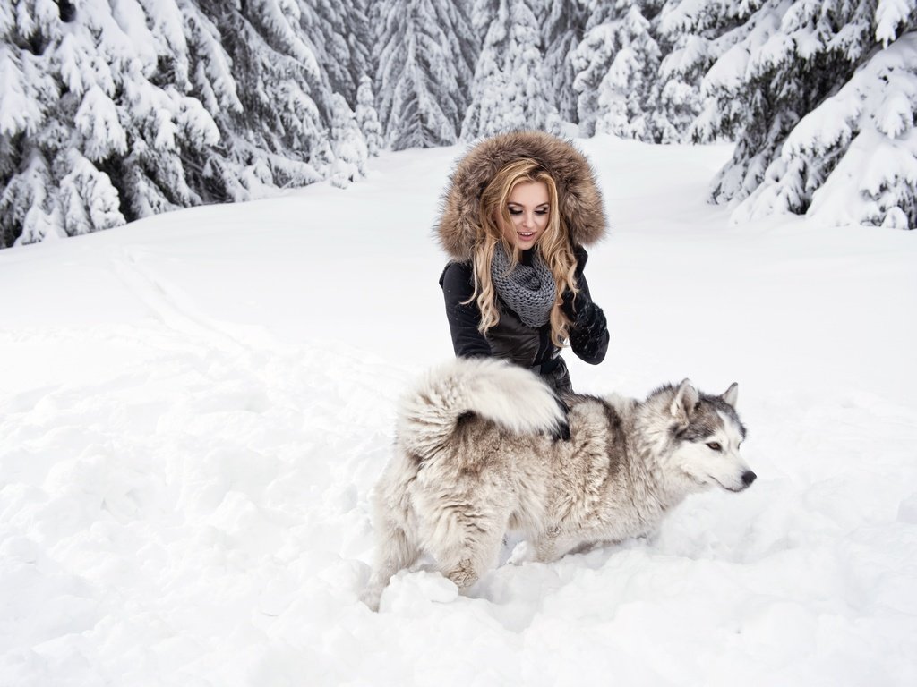 Обои снег, лес, девушка, блондинка, взгляд, собака, хаски, snow, forest, girl, blonde, look, dog, husky разрешение 7360x4912 Загрузить