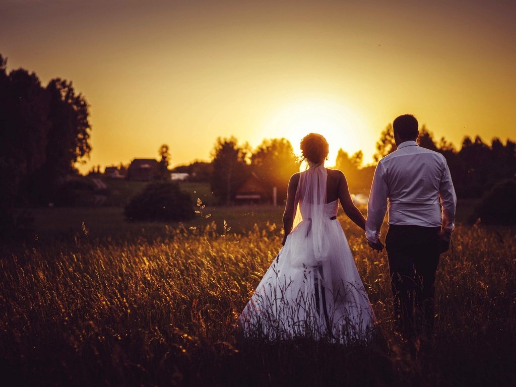 Обои закат, поле, жених, свадьба, невеста, sunset, field, the groom, wedding, the bride разрешение 2880x1920 Загрузить