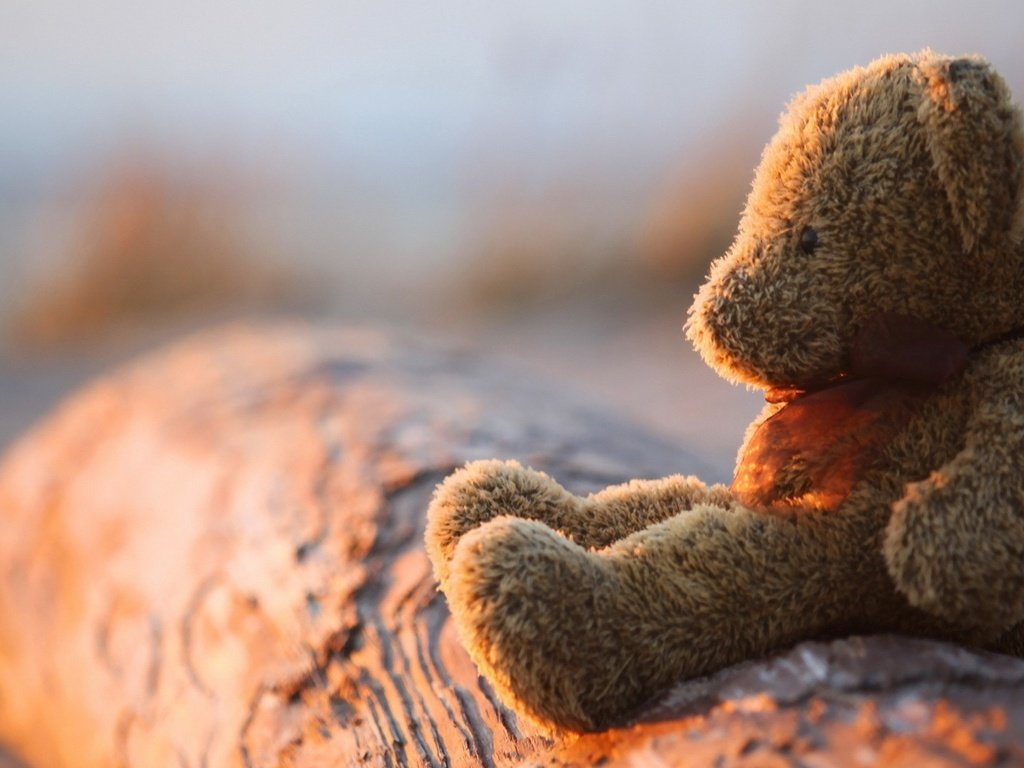 Обои медведь, мишка, игрушка, плюшевый, боке, bear, toy, plush, bokeh разрешение 1920x1080 Загрузить