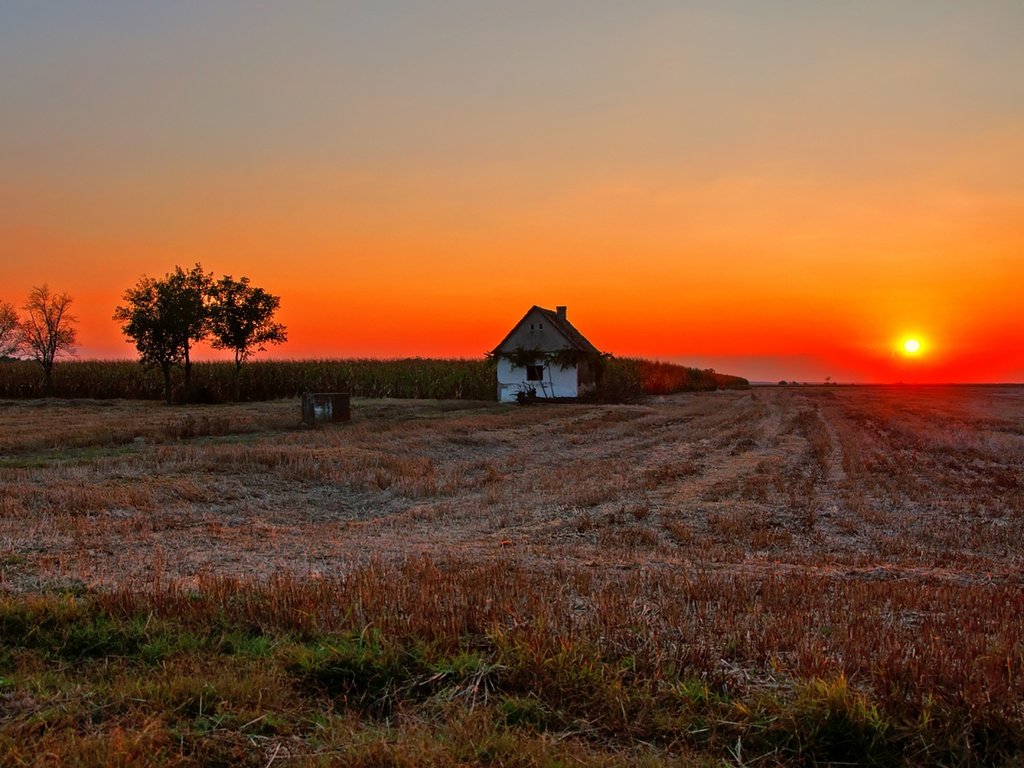 Обои солнце, dusk, fireball, закат, полумрак, countryside, поле, farmland, дом, сумерки, ферма, вс, сельская местность, the sun, sunset, field, house, twilight, farm, sun, the countryside разрешение 1920x1276 Загрузить