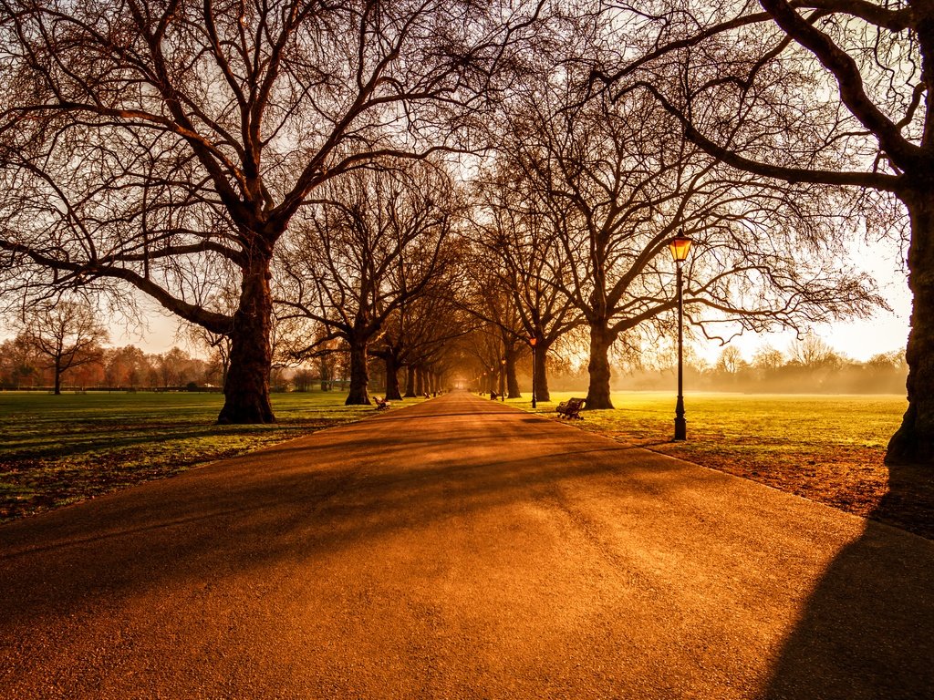 Обои восход, лондон, battersea park, sunrise, london разрешение 5978x3720 Загрузить