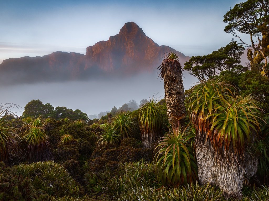 Обои австралия, тасмания, south west national park, australia, tasmania разрешение 2048x1365 Загрузить