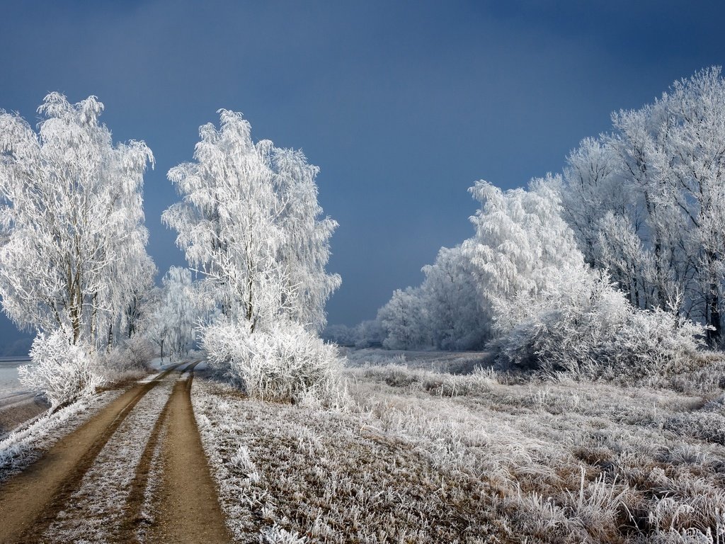 Обои дорога, зима, березы, иней, road, winter, birch, frost разрешение 3000x1927 Загрузить