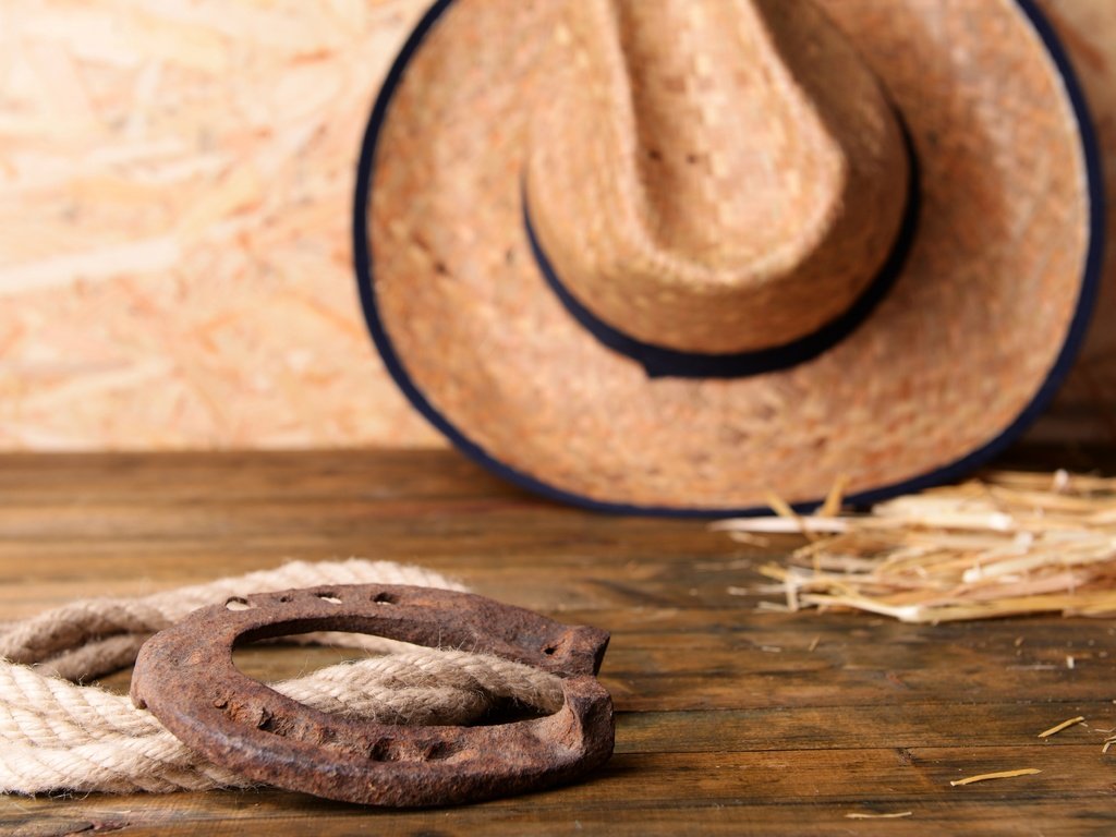 Обои кожа, веревка, шляпа, ушанка, подкова, leather, rope, hat, horseshoe разрешение 5849x3904 Загрузить