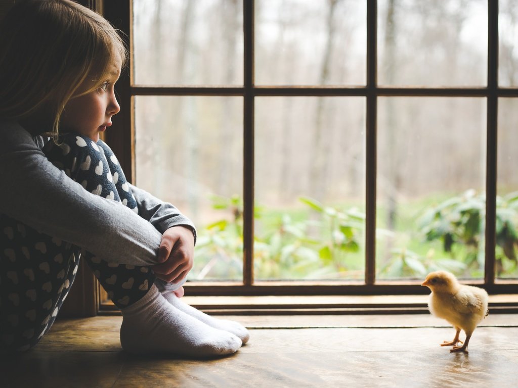 Обои дети, девочка, ребенок, окно, цыплёнок, подоконник, children, girl, child, window, chicken, sill разрешение 2048x1365 Загрузить