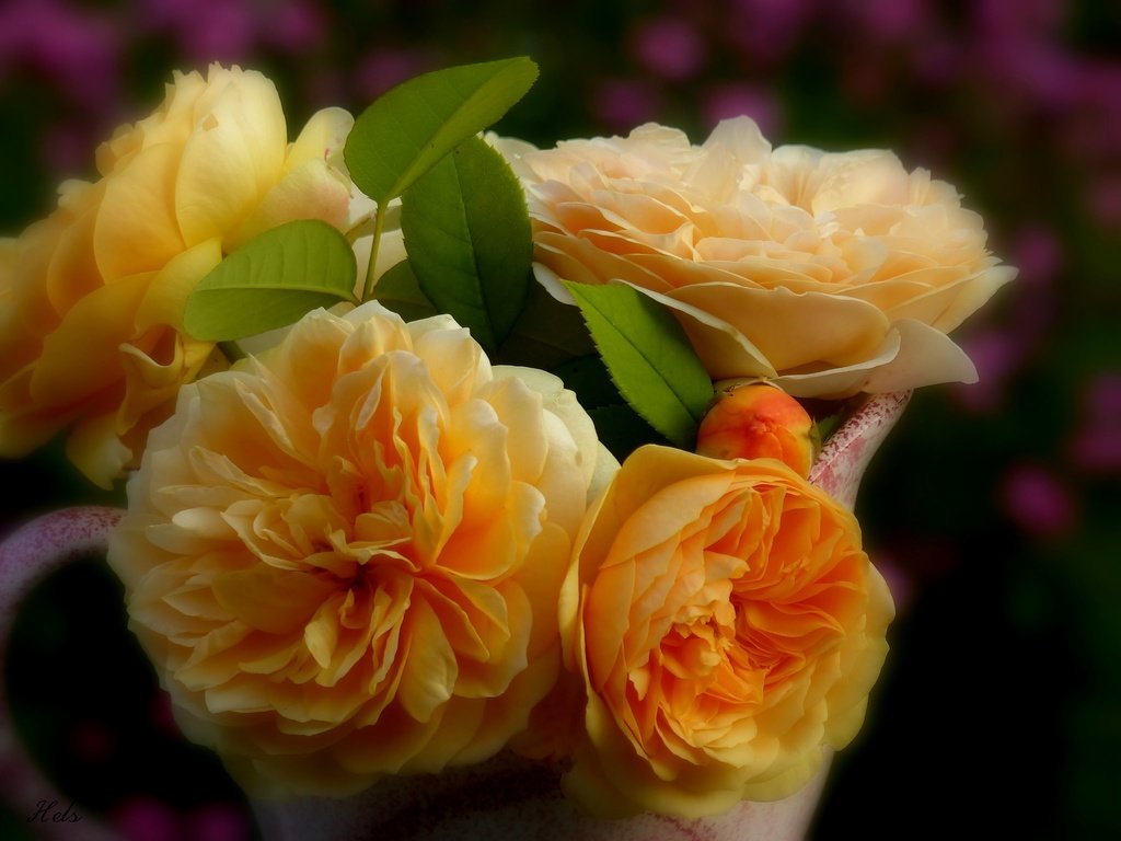 Обои цветы, макро, розы, жёлтые розы, flowers, macro, roses, yellow roses разрешение 2048x1536 Загрузить