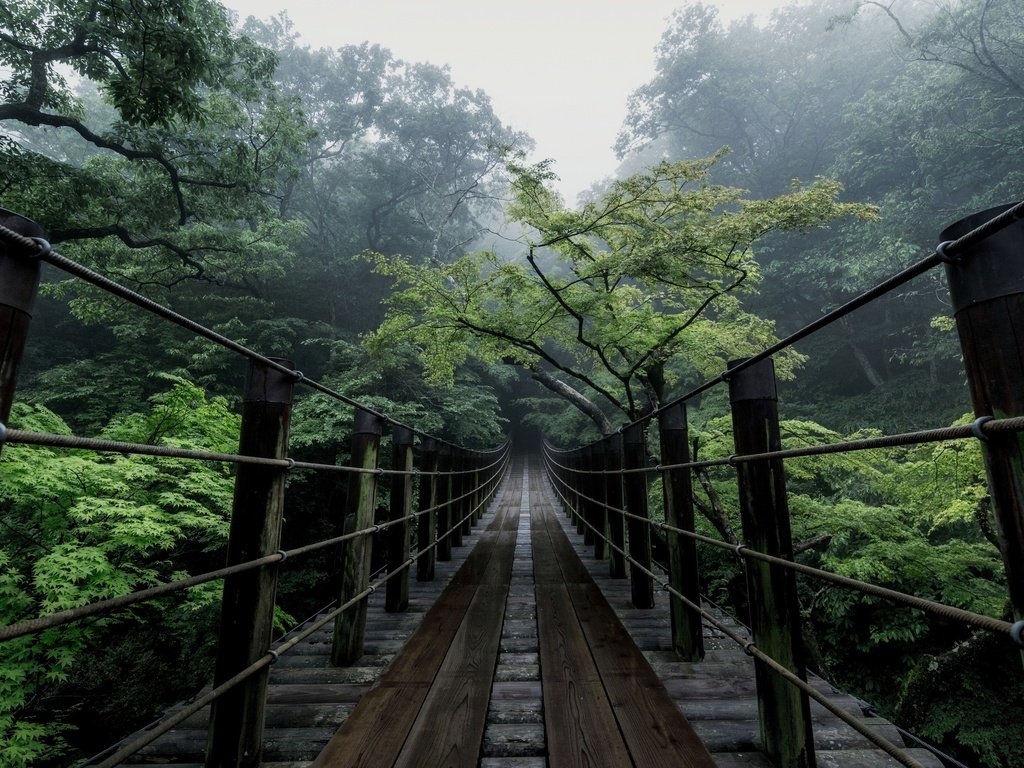 Обои деревья, природа, мост, япония, дымка, trees, nature, bridge, japan, haze разрешение 2500x1667 Загрузить