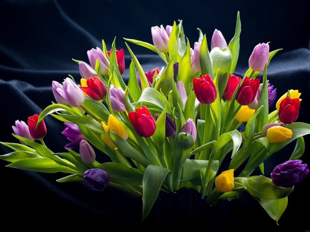 Обои цветы, листья, фон, разноцветные, букет, тюльпаны, flowers, leaves, background, colorful, bouquet, tulips разрешение 2048x1424 Загрузить