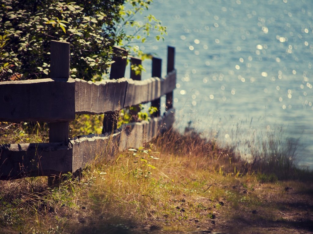 Обои свет, трава, природа, пейзаж, море, лето, забор, ограждение, light, grass, nature, landscape, sea, summer, the fence разрешение 3008x2000 Загрузить