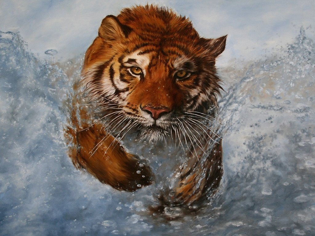 Обои тигр, вода, животные, взгляд, брызги, хищник, дикая кошка, tiger, water, animals, look, squirt, predator, wild cat разрешение 2814x2252 Загрузить